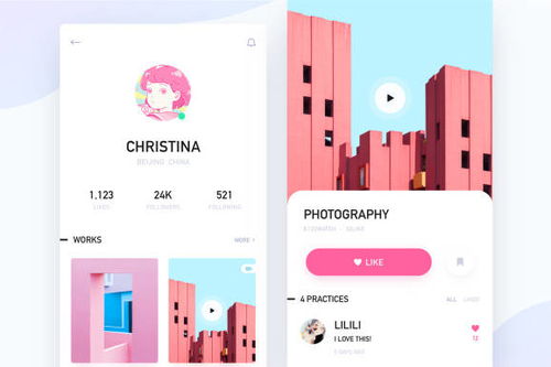 应用软件开发费用详解 从免费到高端的全面预算指南